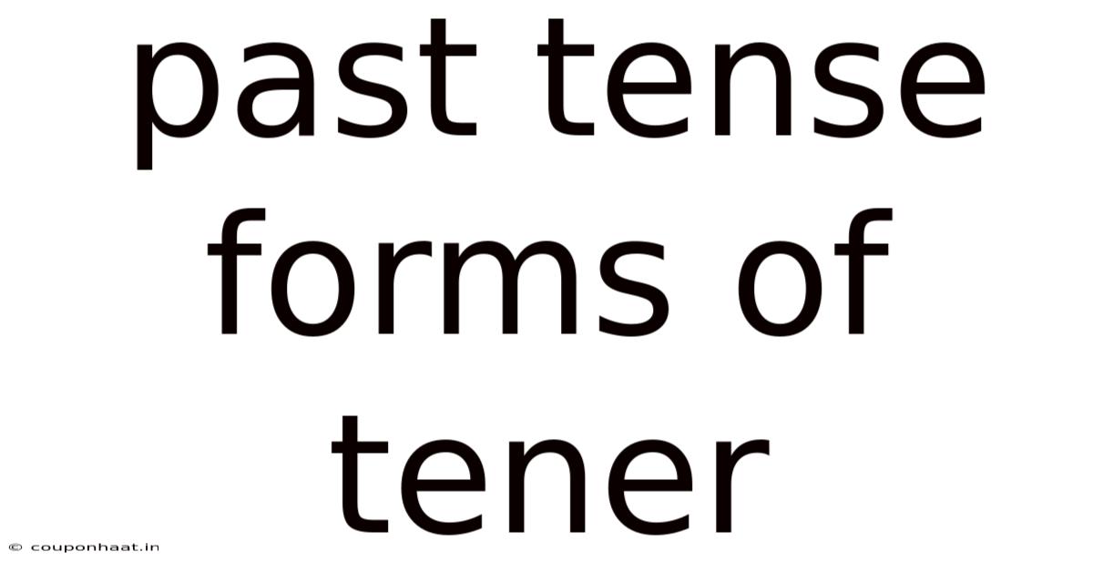 Past Tense Forms Of Tener