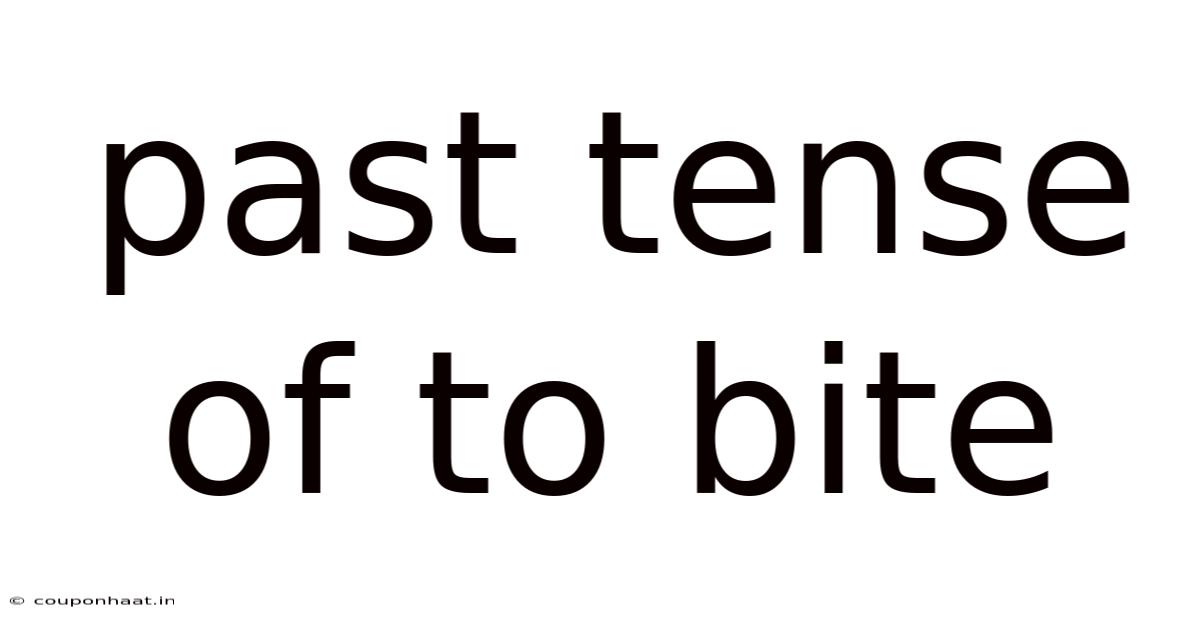 Past Tense Of To Bite