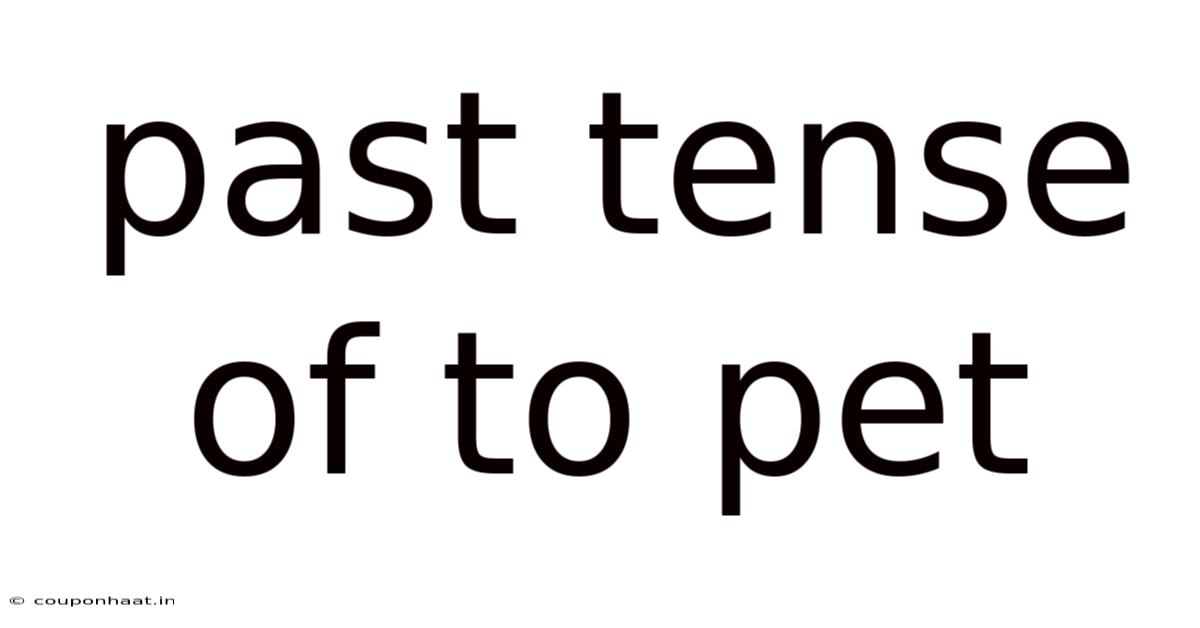 Past Tense Of To Pet
