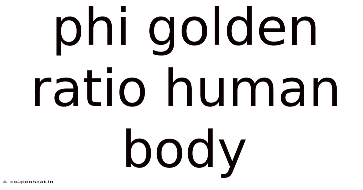Phi Golden Ratio Human Body
