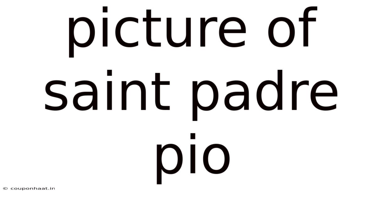 Picture Of Saint Padre Pio