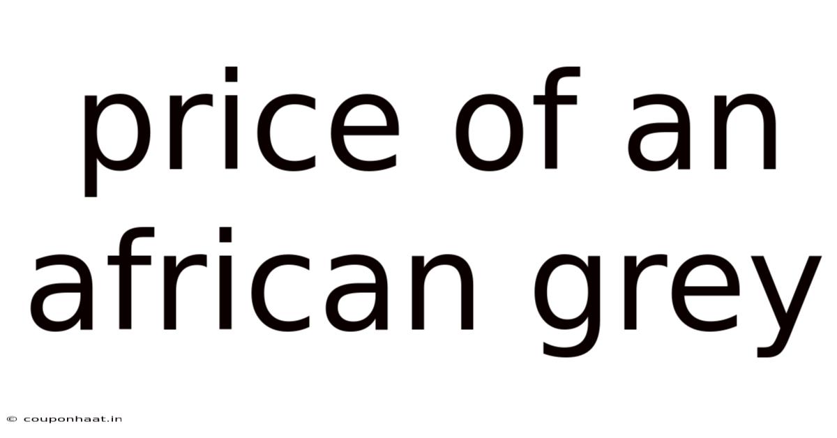 Price Of An African Grey