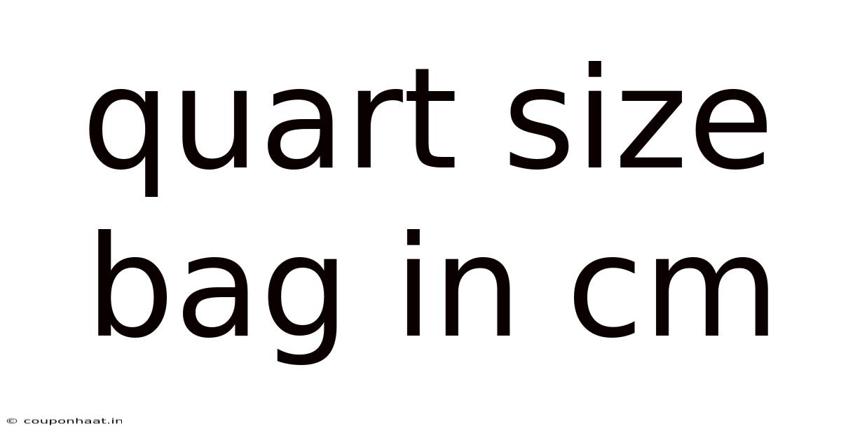 Quart Size Bag In Cm