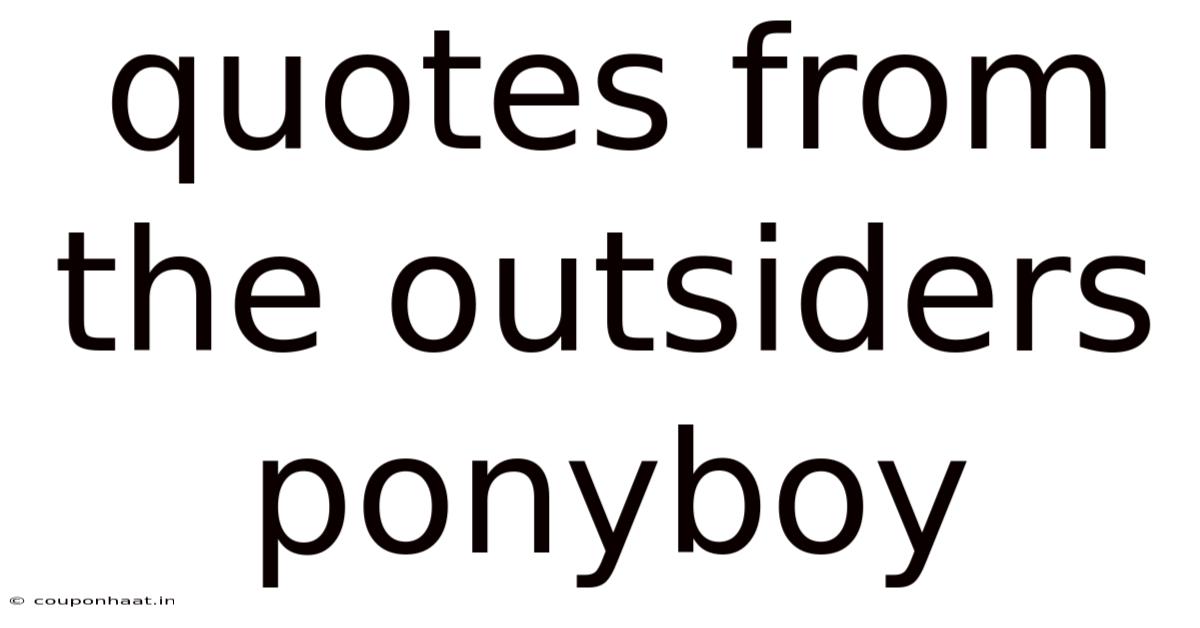 Quotes From The Outsiders Ponyboy