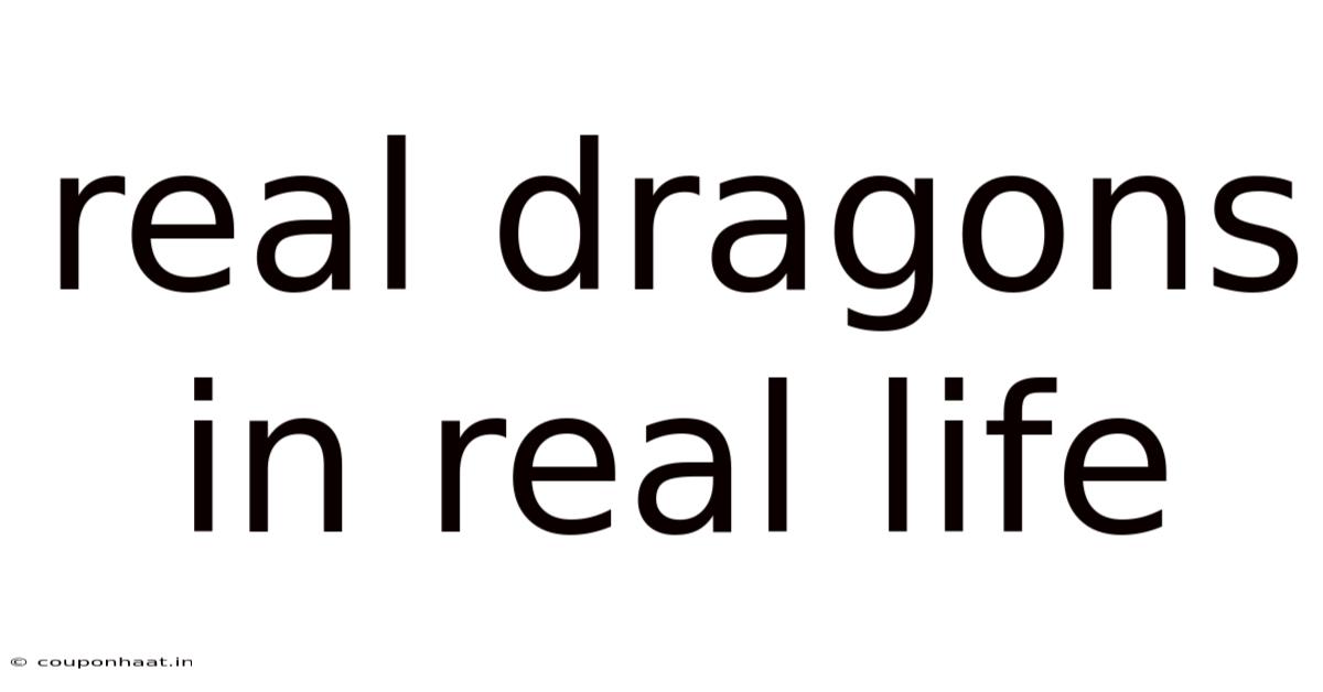 Real Dragons In Real Life