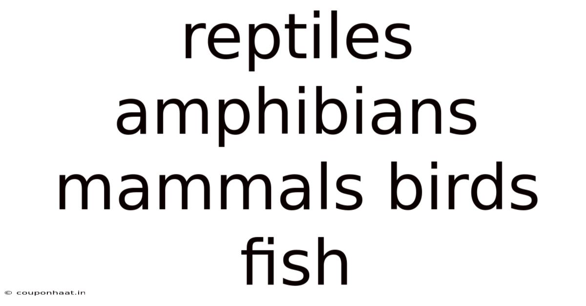 Reptiles Amphibians Mammals Birds Fish