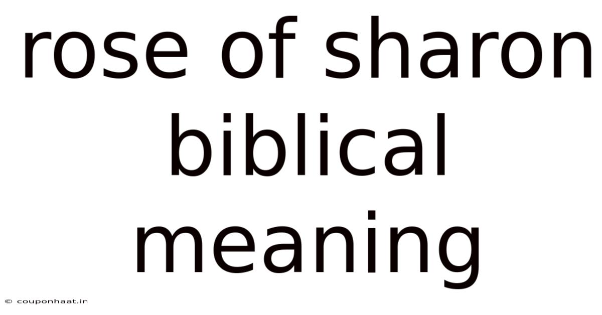 Rose Of Sharon Biblical Meaning