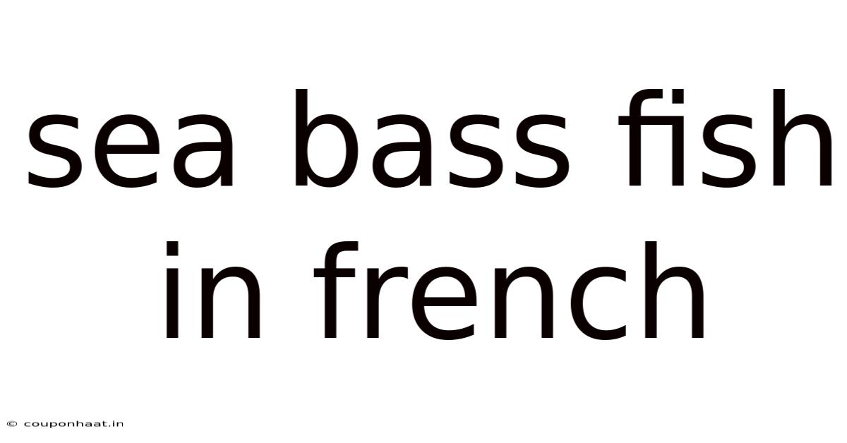 Sea Bass Fish In French