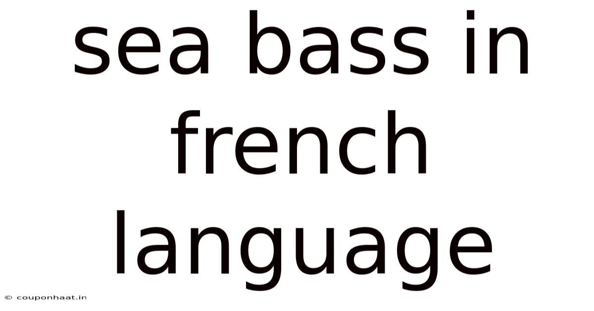 Sea Bass In French Language