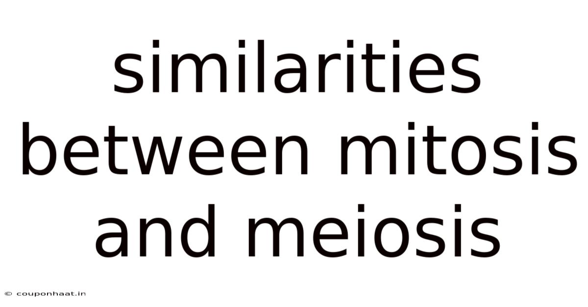 Similarities Between Mitosis And Meiosis