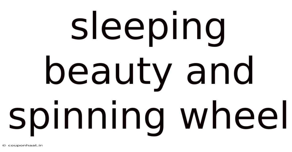 Sleeping Beauty And Spinning Wheel