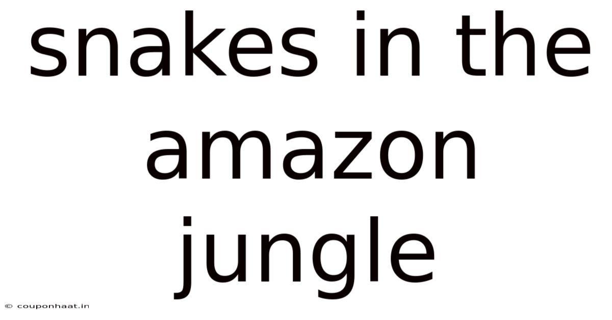 Snakes In The Amazon Jungle