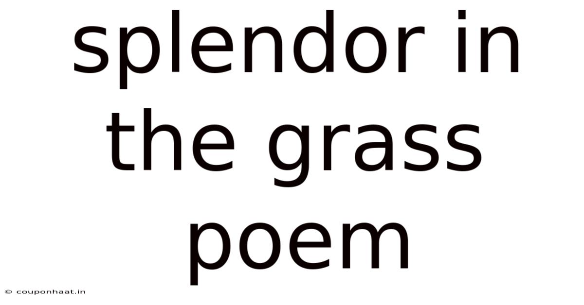 Splendor In The Grass Poem