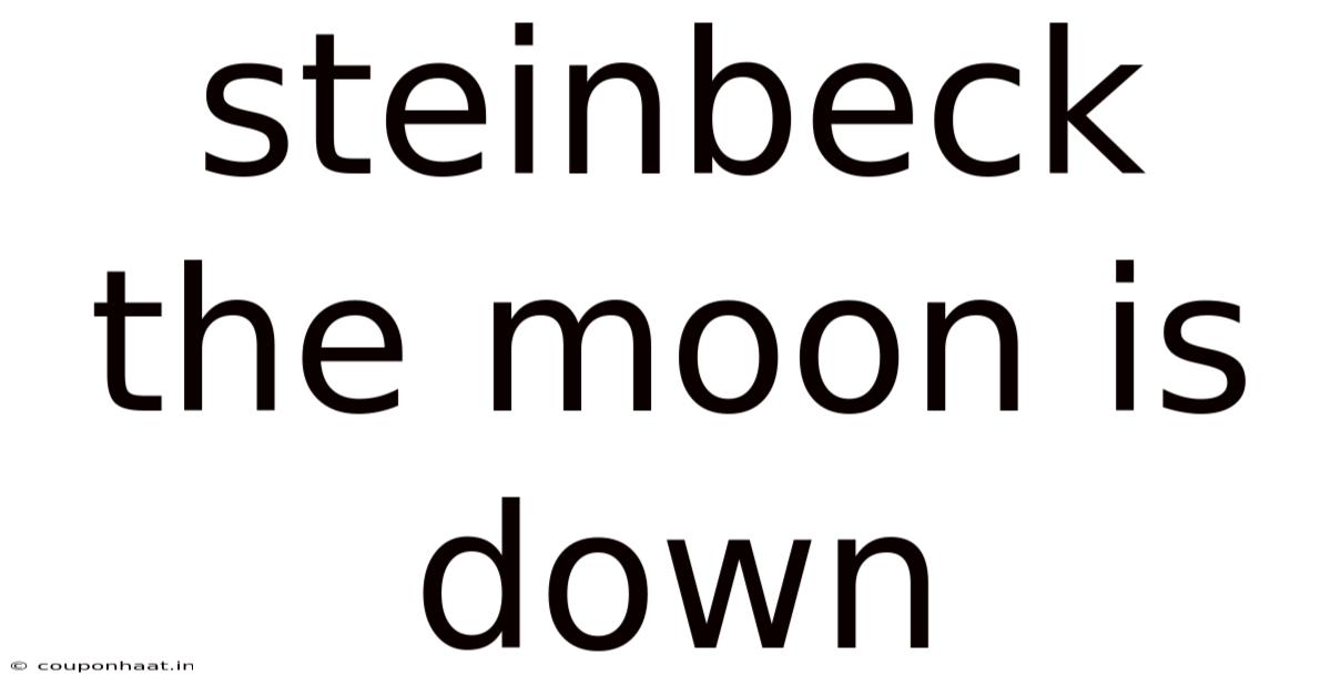 Steinbeck The Moon Is Down