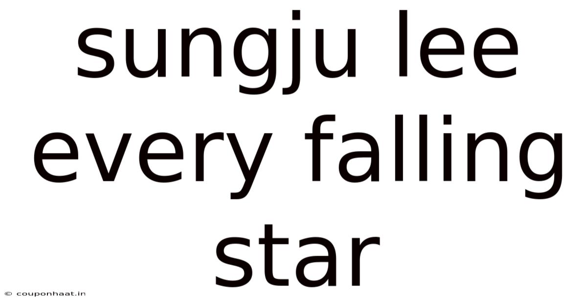 Sungju Lee Every Falling Star
