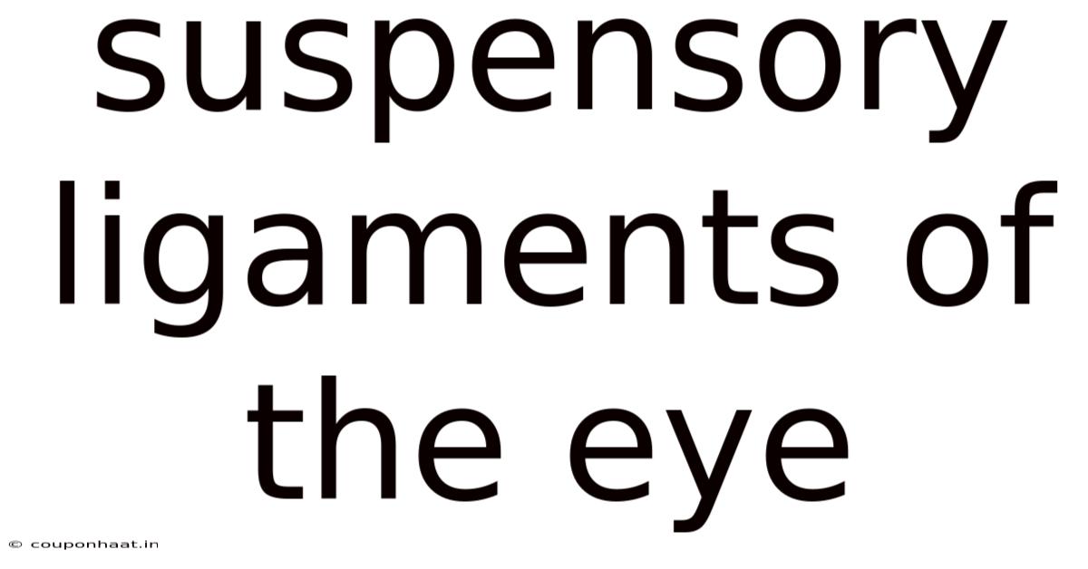 Suspensory Ligaments Of The Eye