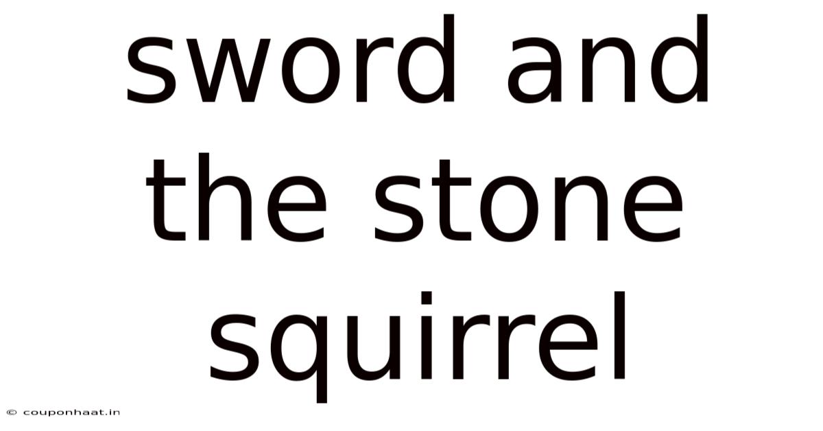 Sword And The Stone Squirrel