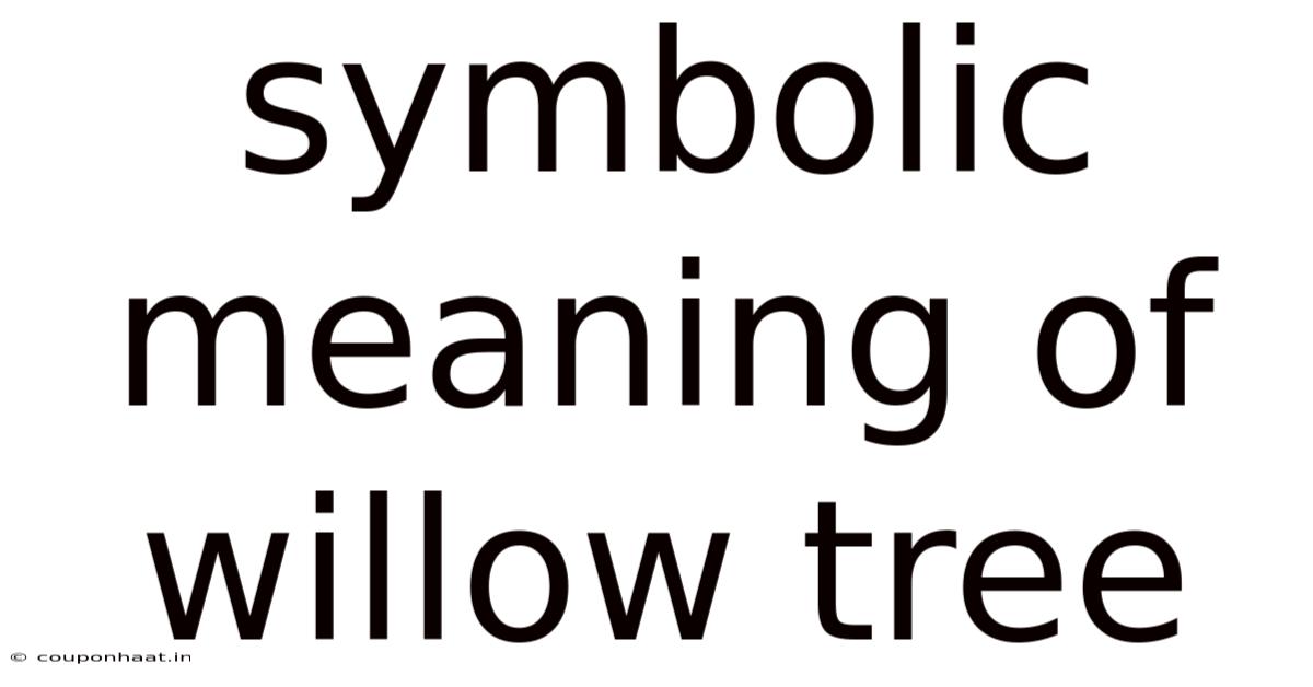 Symbolic Meaning Of Willow Tree