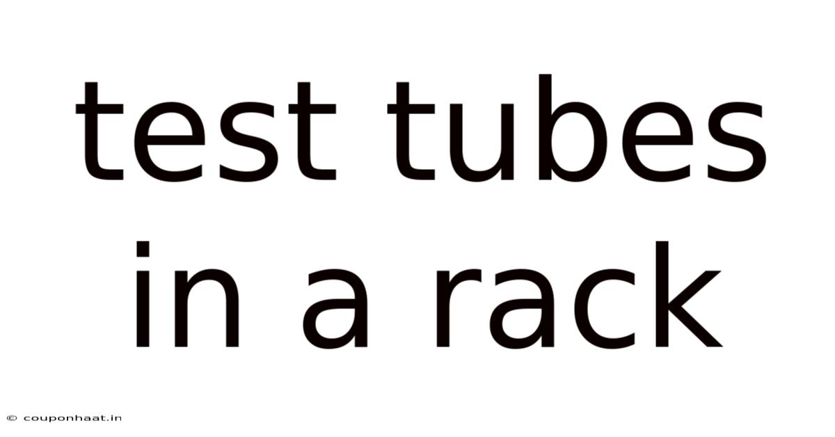 Test Tubes In A Rack