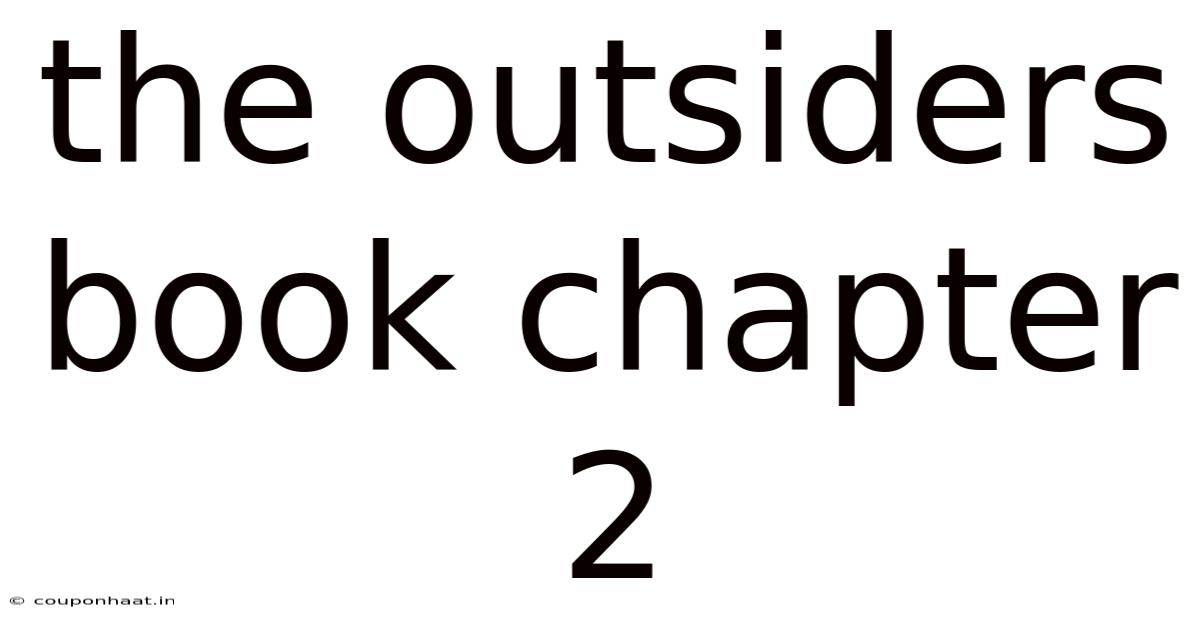 The Outsiders Book Chapter 2