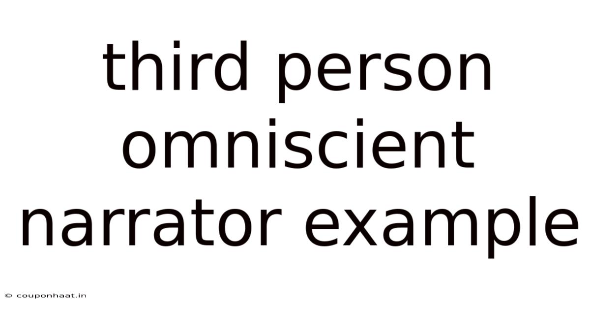 Third Person Omniscient Narrator Example