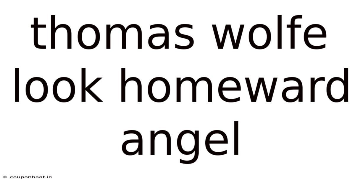 Thomas Wolfe Look Homeward Angel