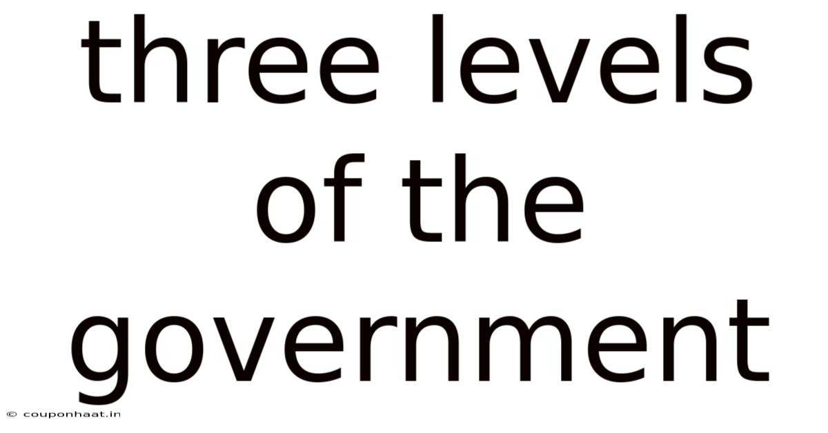 Three Levels Of The Government