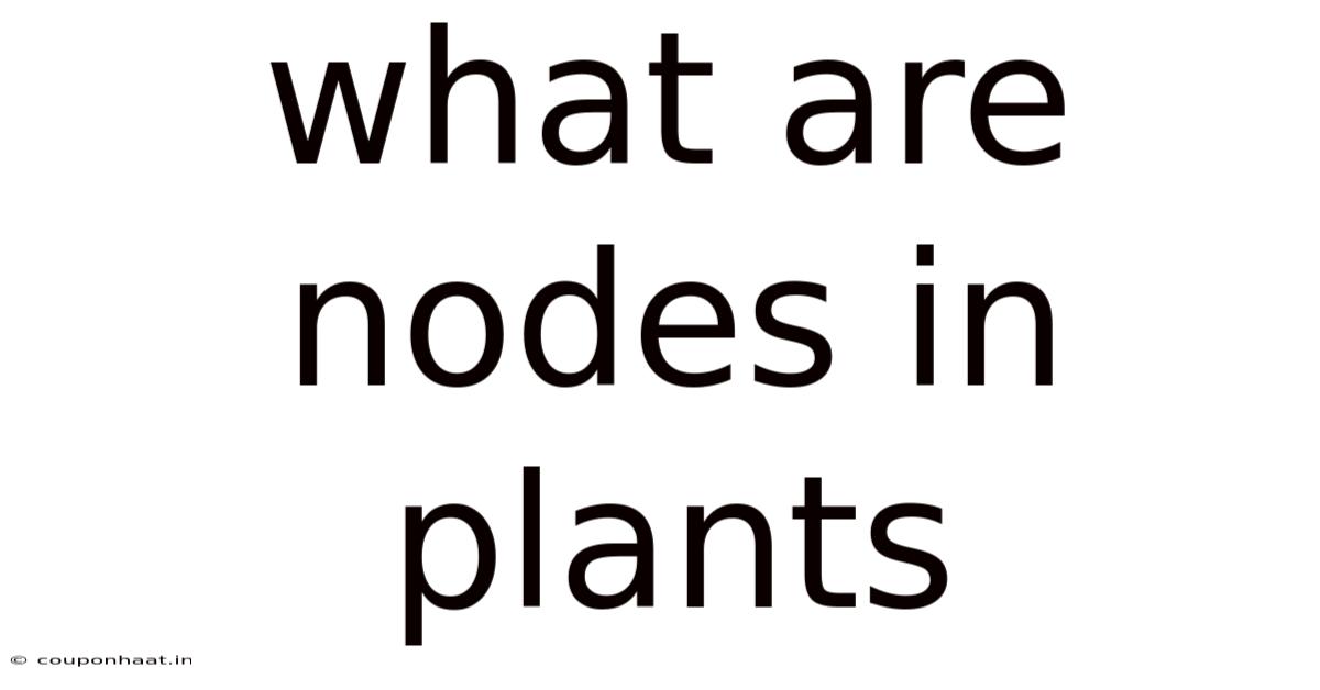 What Are Nodes In Plants