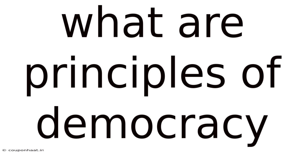 What Are Principles Of Democracy