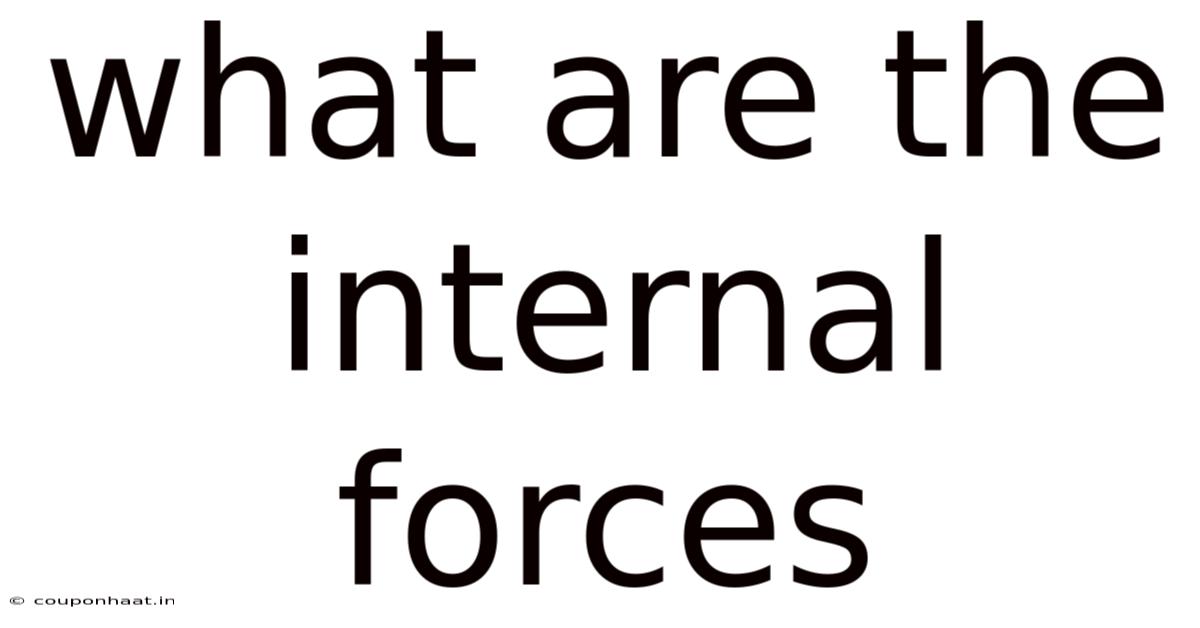 What Are The Internal Forces