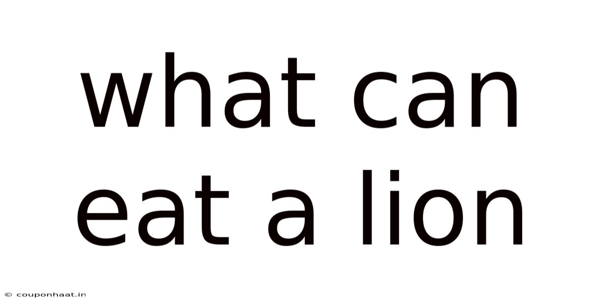 What Can Eat A Lion