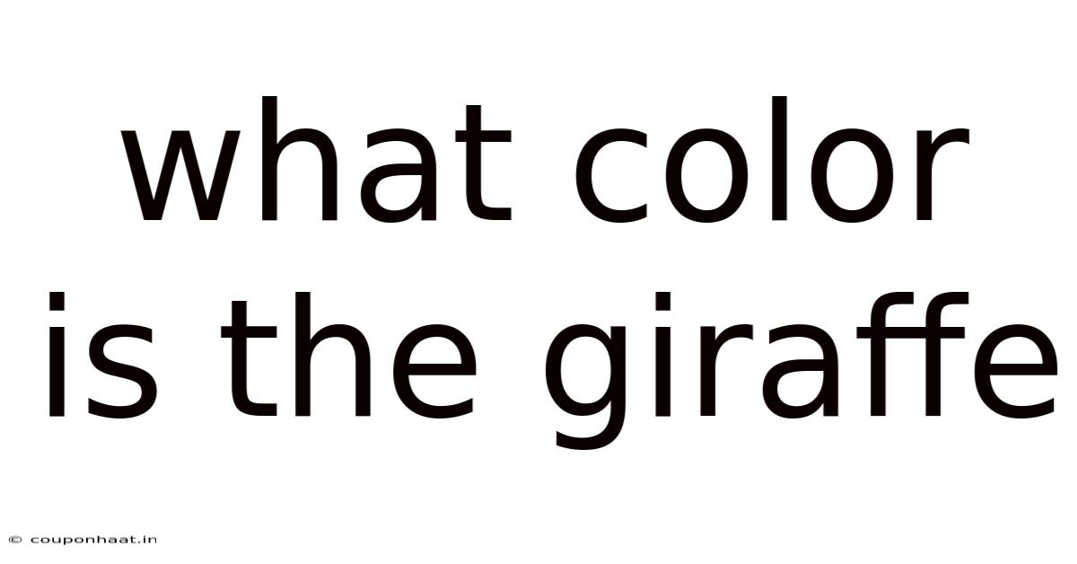 What Color Is The Giraffe