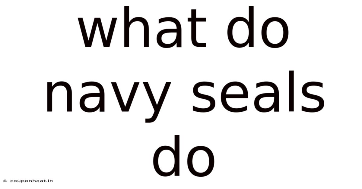 What Do Navy Seals Do