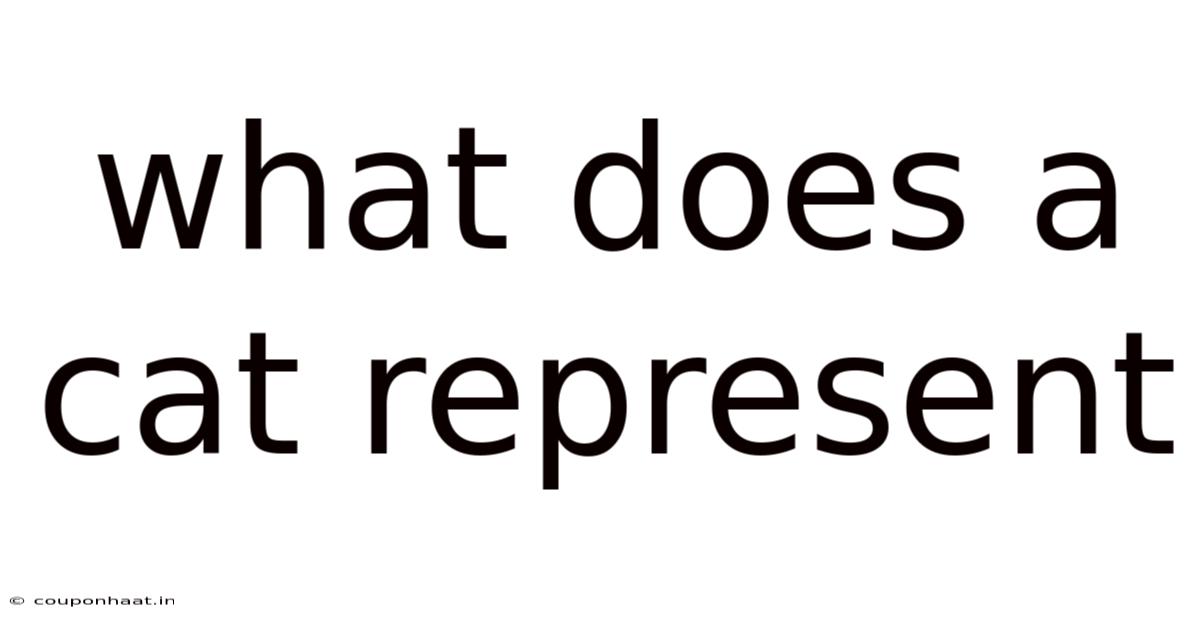 What Does A Cat Represent