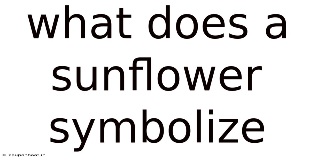 What Does A Sunflower Symbolize