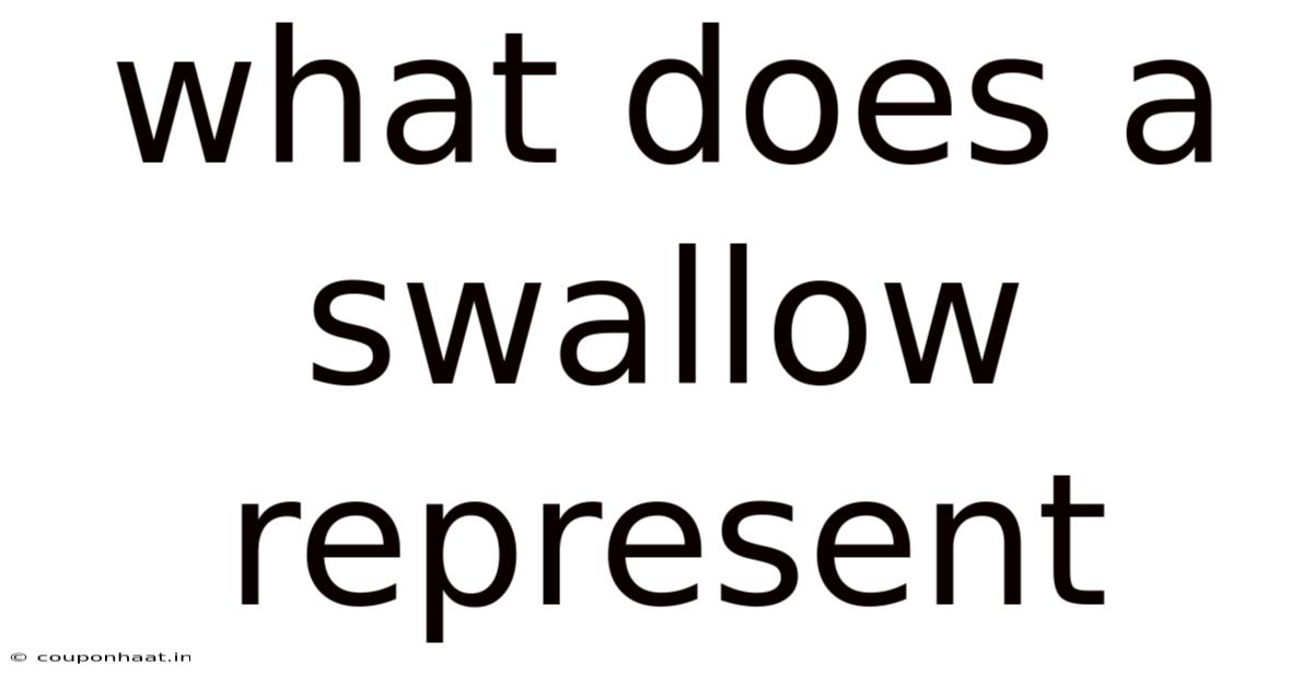 What Does A Swallow Represent