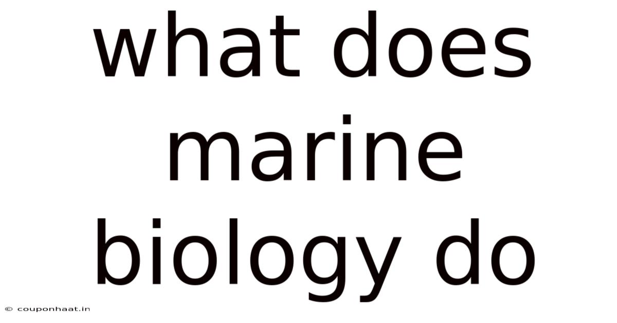 What Does Marine Biology Do