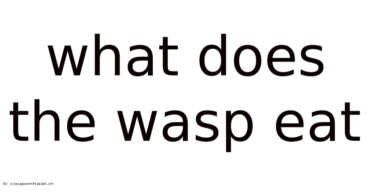 What Does The Wasp Eat