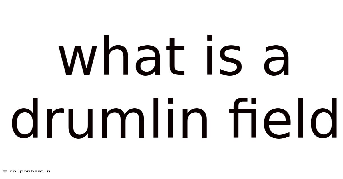 What Is A Drumlin Field
