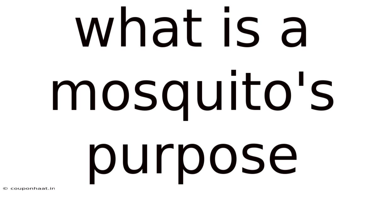 What Is A Mosquito's Purpose