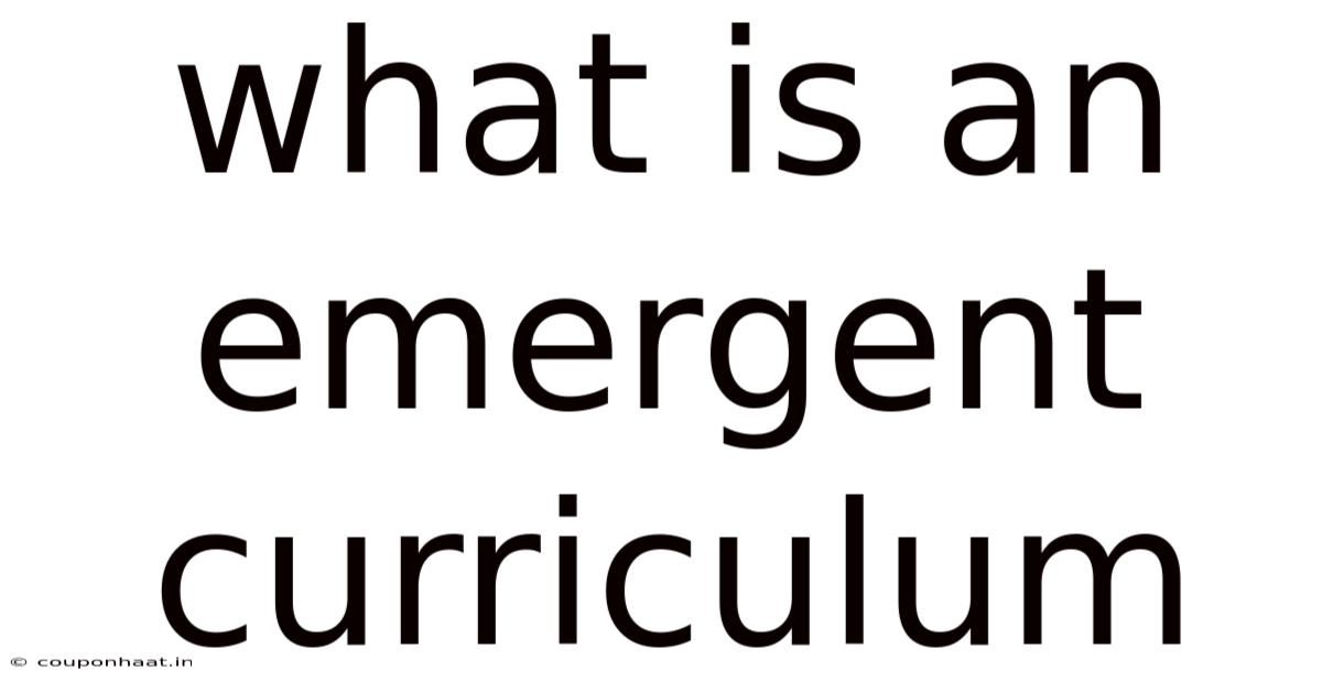 What Is An Emergent Curriculum