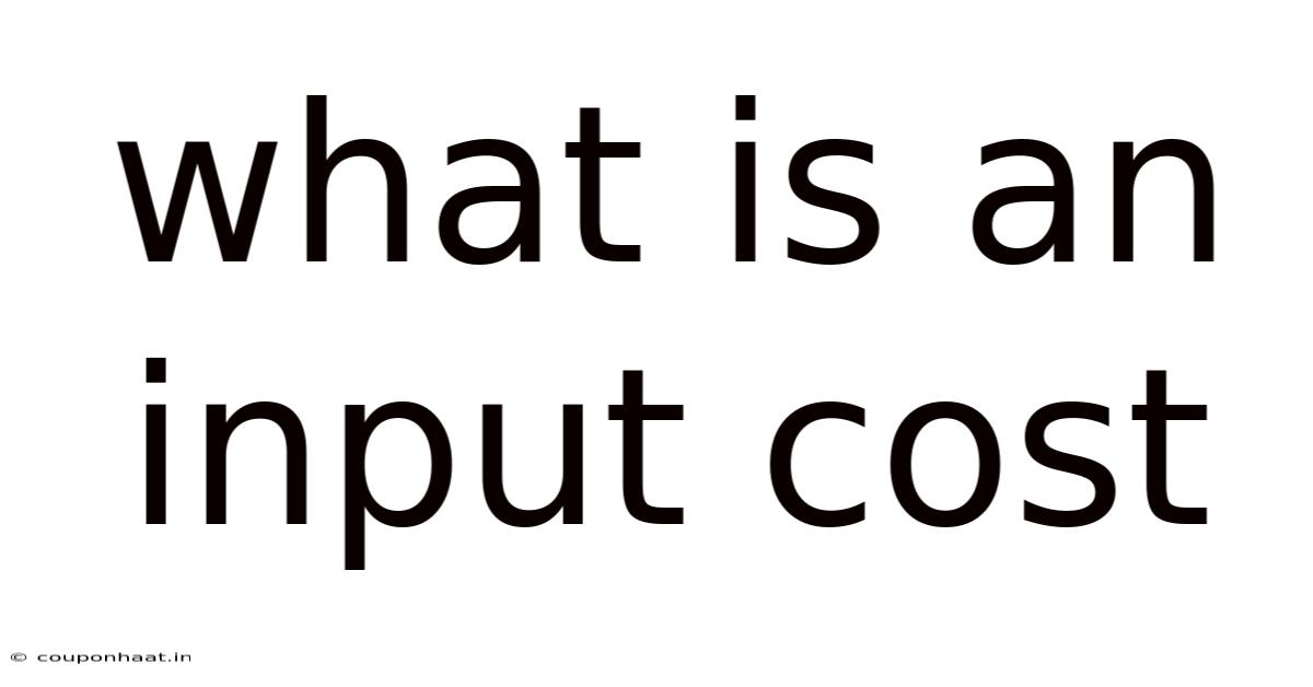 What Is An Input Cost