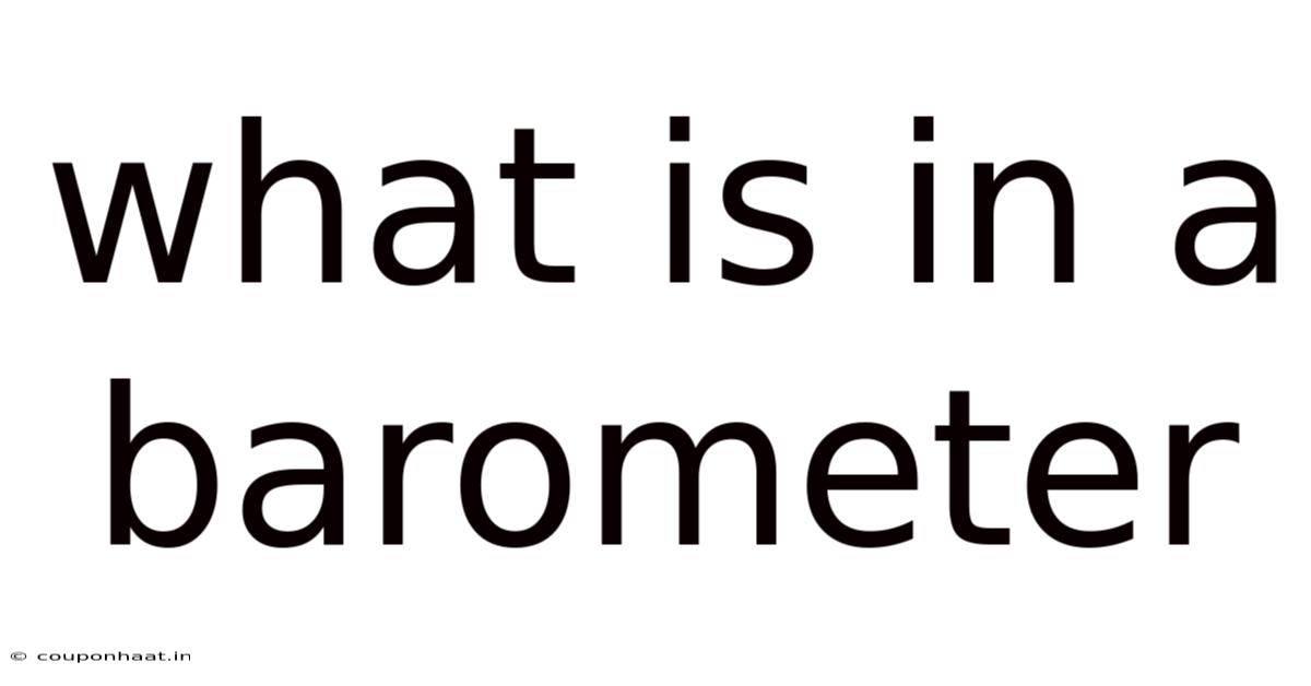 What Is In A Barometer