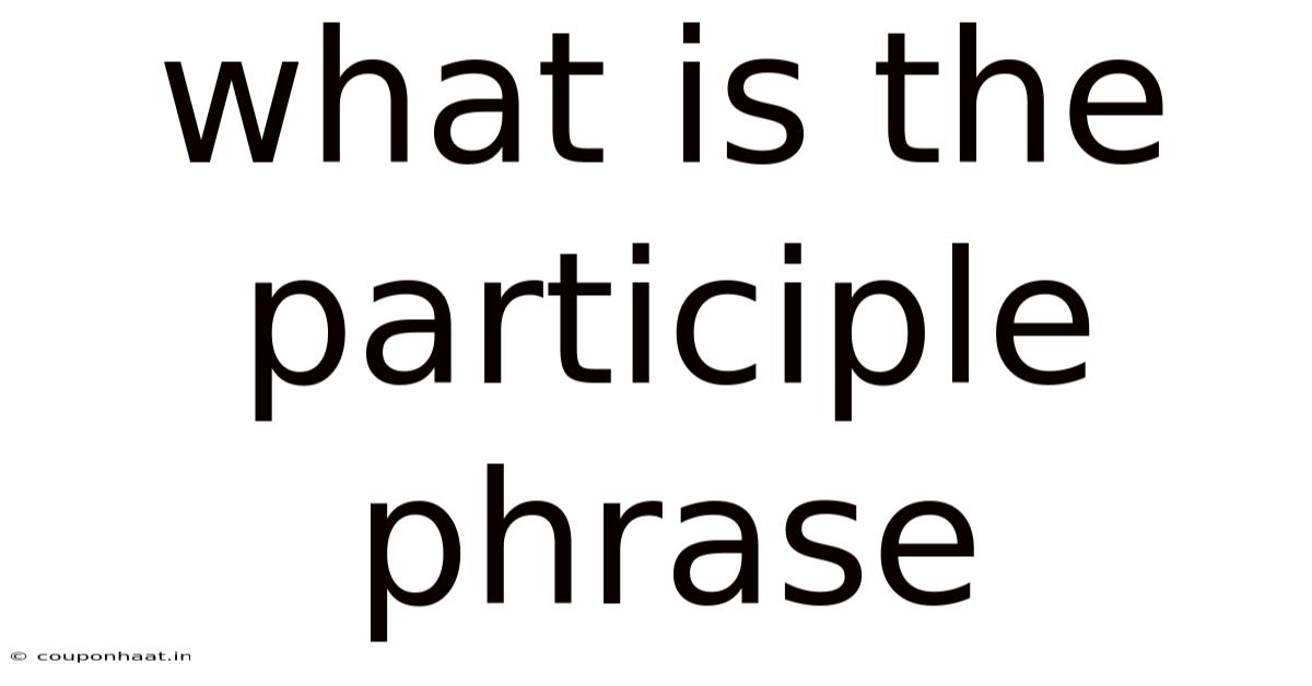 What Is The Participle Phrase