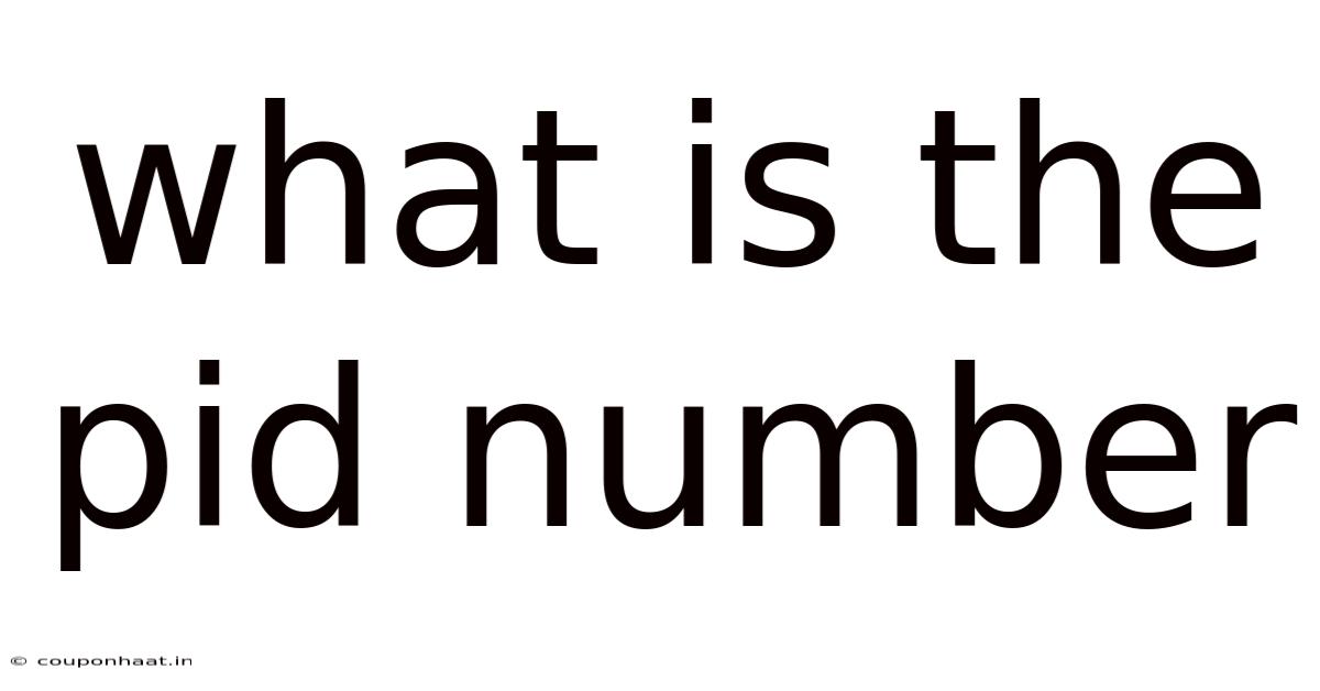 What Is The Pid Number