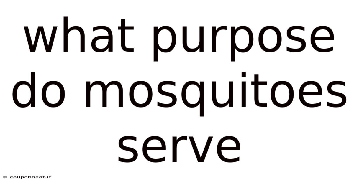 What Purpose Do Mosquitoes Serve