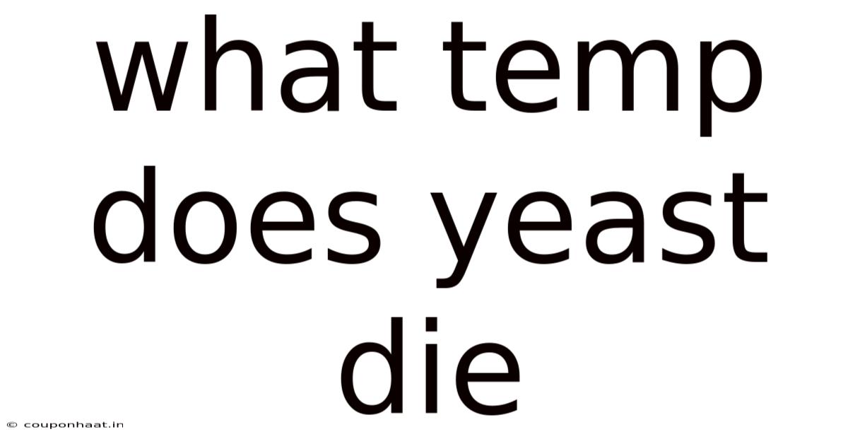 What Temp Does Yeast Die