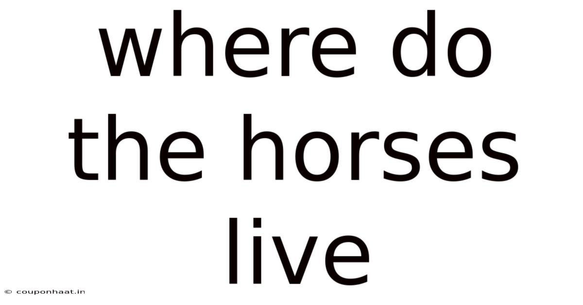 Where Do The Horses Live
