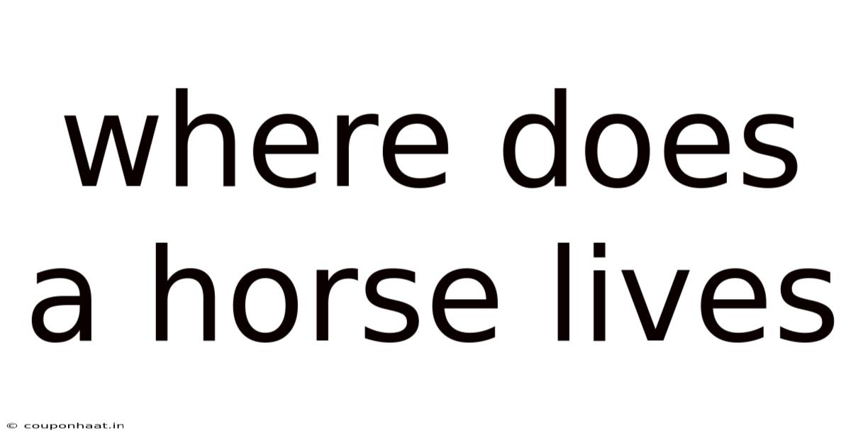 Where Does A Horse Lives