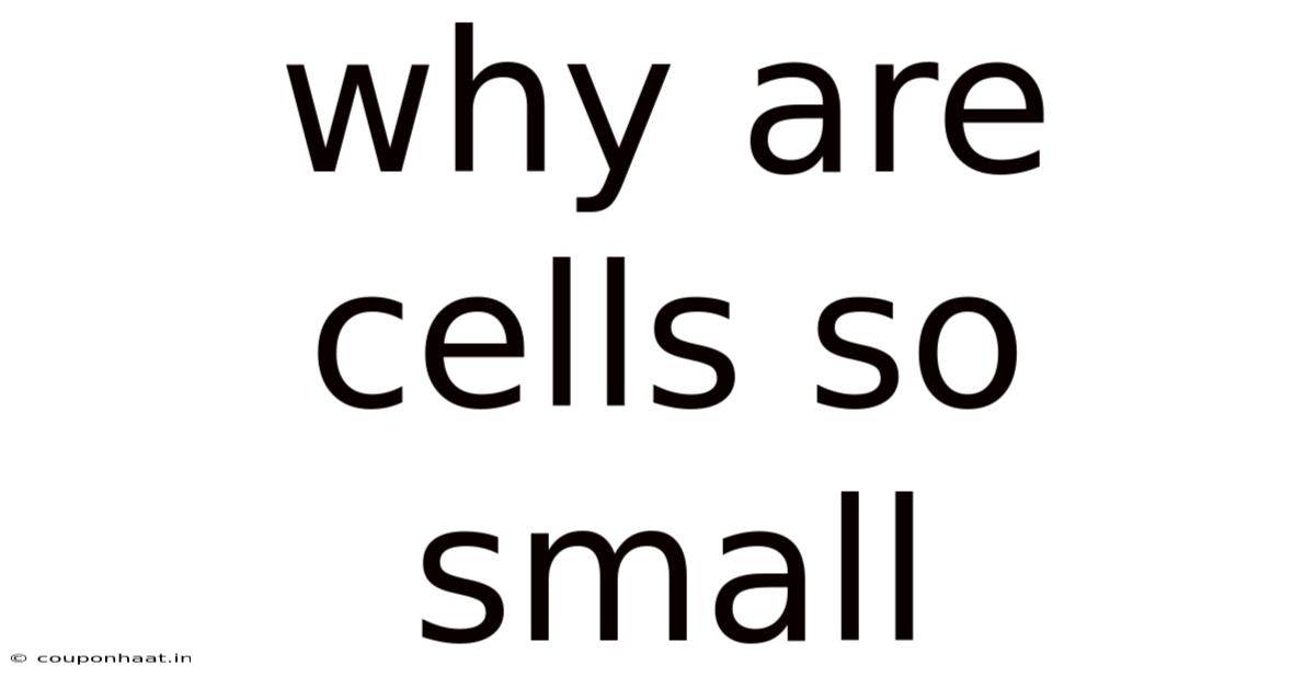 Why Are Cells So Small